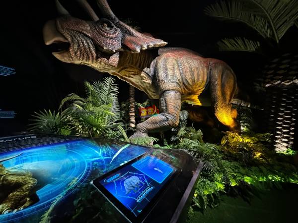 在室内园区，每只恐龙旁设有触摸屏，并以动画的方式，去呈现每只恐龙的资讯。