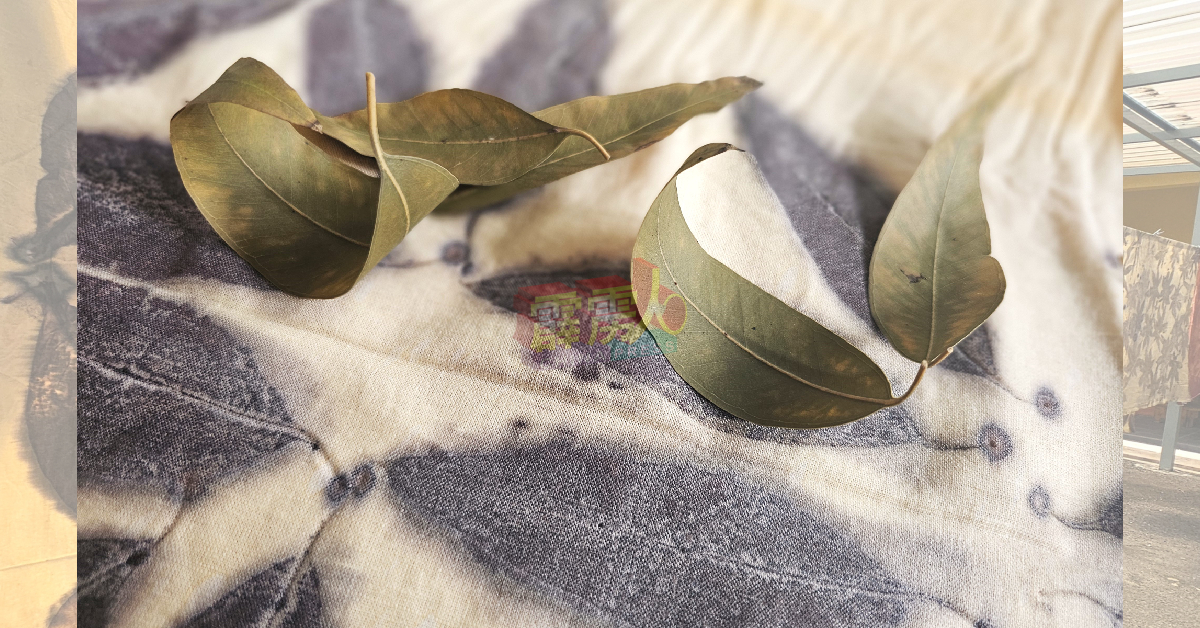 裹着白千层叶被蒸煮后的布料，摊开后的叶子图案和天然色泽。