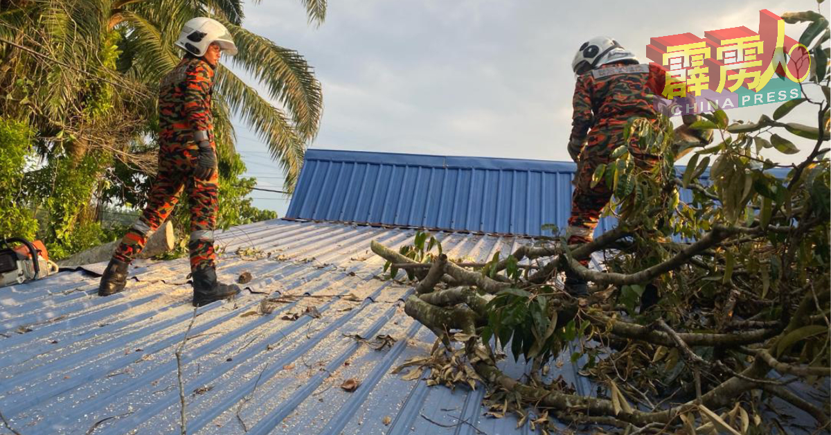 消拯员协助居民，将倒在屋顶的树木清理掉。（霹消拯局）