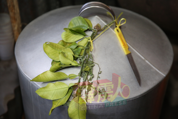 蒸锅盖上会绑上刀子与柚子叶。