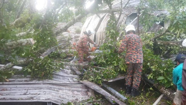 一场暴风雨，导致大树倒下，压毁一间员工住家，遭成1人死亡，5人受伤。（霹消拯局）