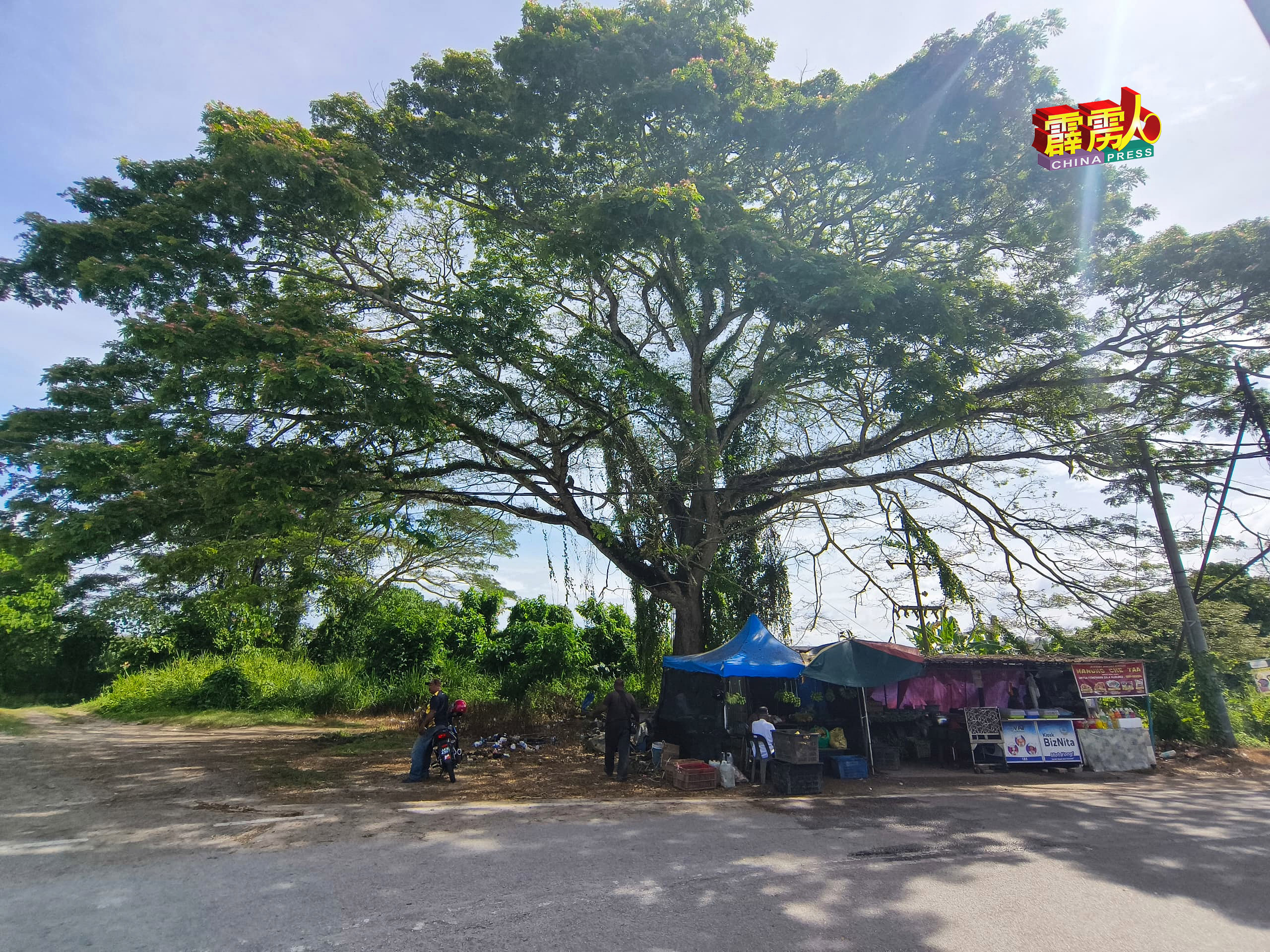 宁罗市镇与火车桥之间一个转弯处，当地人称为大树下的地方，将会闢成泊车场，至少可停放5辆旅巴。