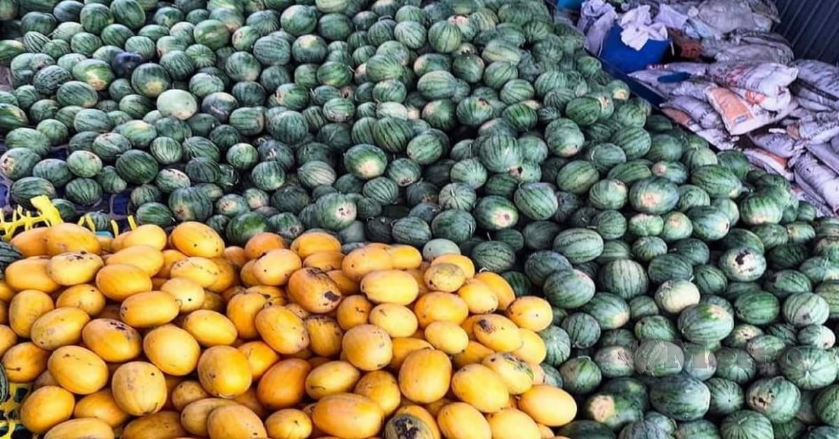 西瓜农民不到3小时卖出18吨红黄西瓜。（取自《大都会日报》）