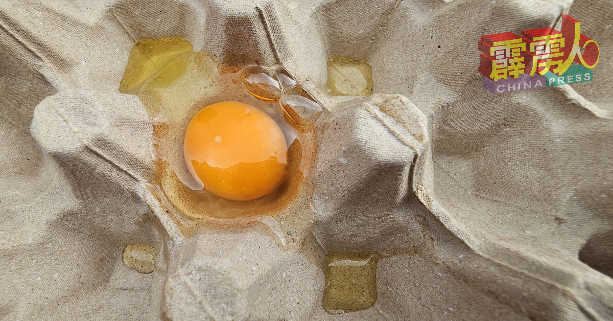 促销的鸡蛋都很新鲜及有品质。
