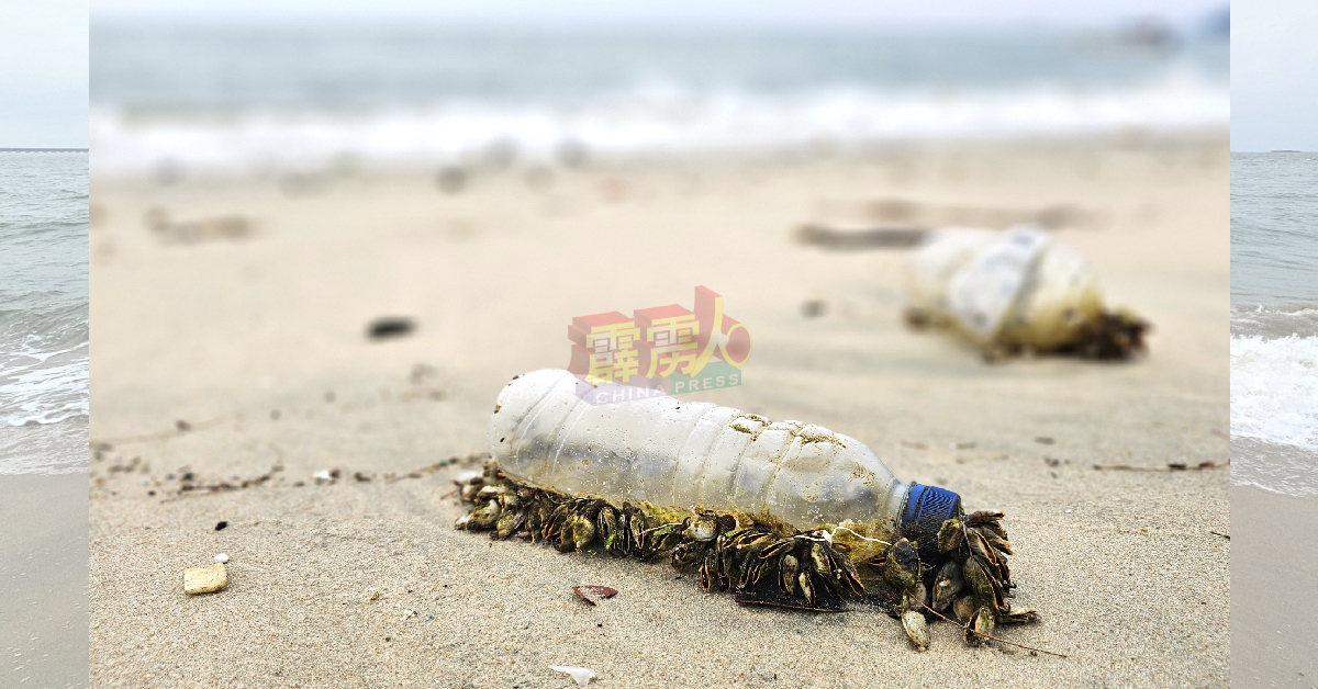 直落峇迪沙滩遍布疑数日未清理的塑料垃圾，大部分已附有寄生贝类。