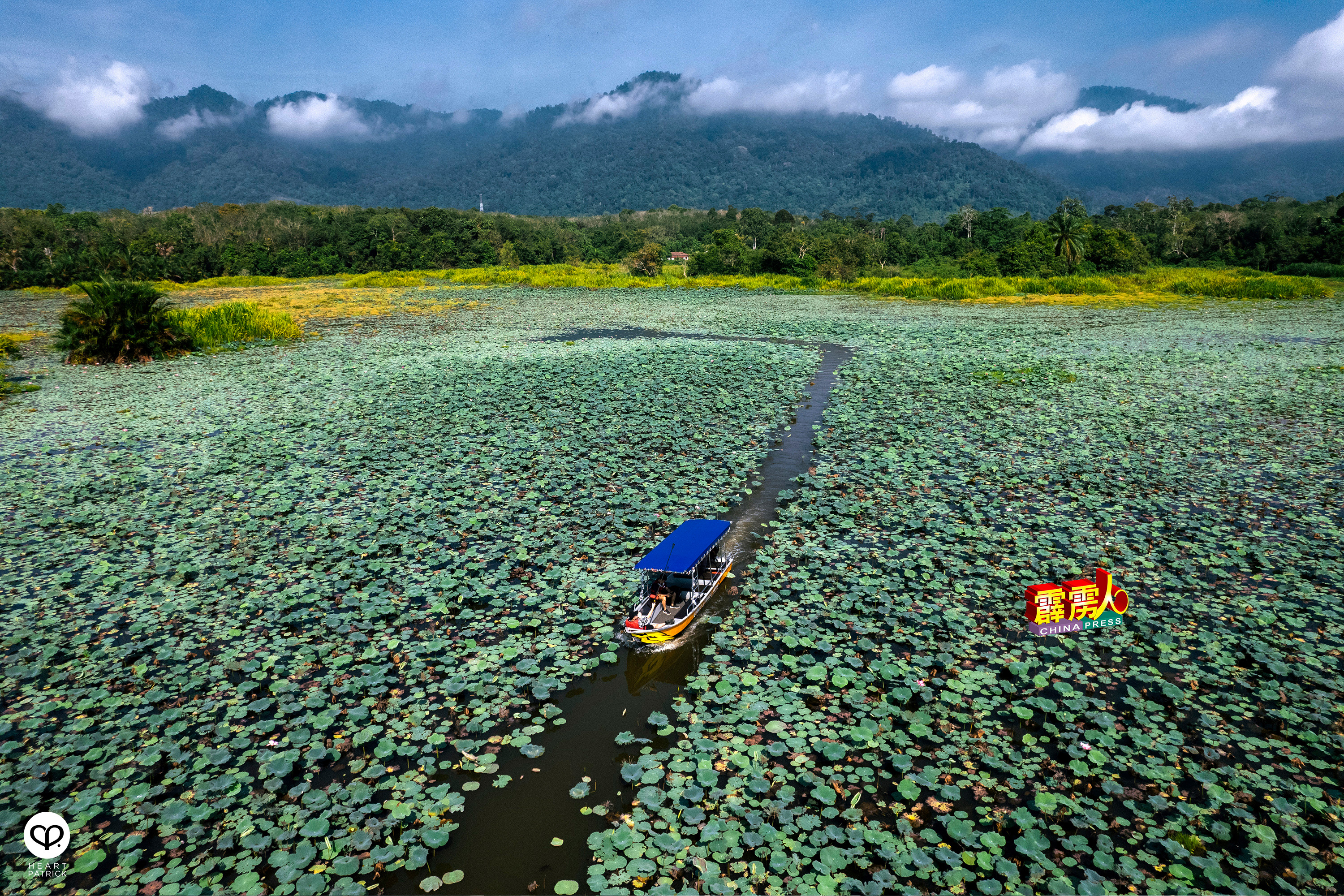 南美洲有亚马逊河与热带雨林，霹州则有近年崛起的“迷妳亚马逊”。（图自heartpatrick）