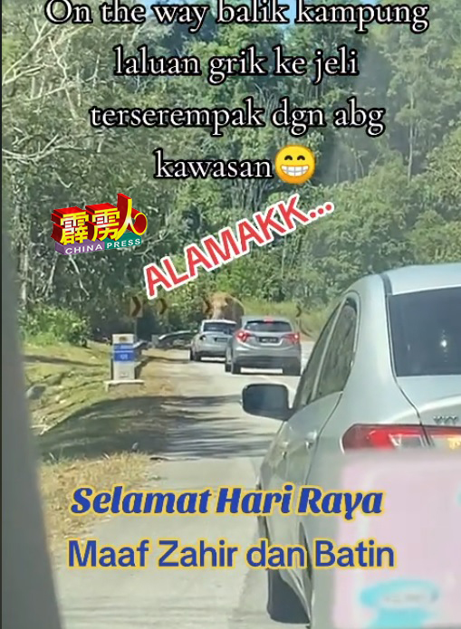 视频显示，取道霹雳州宜力至吉兰丹日里的车辆，在东西大道遇到野象拦路。（视频截图）
