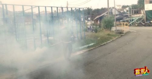 莫珍歪检测报告出炉   10人确诊基孔症