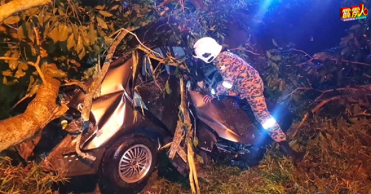 一辆韩国起亚（KIA）Spectra轿失控撞向路旁大树，消拯员抵达后展开救援工作。