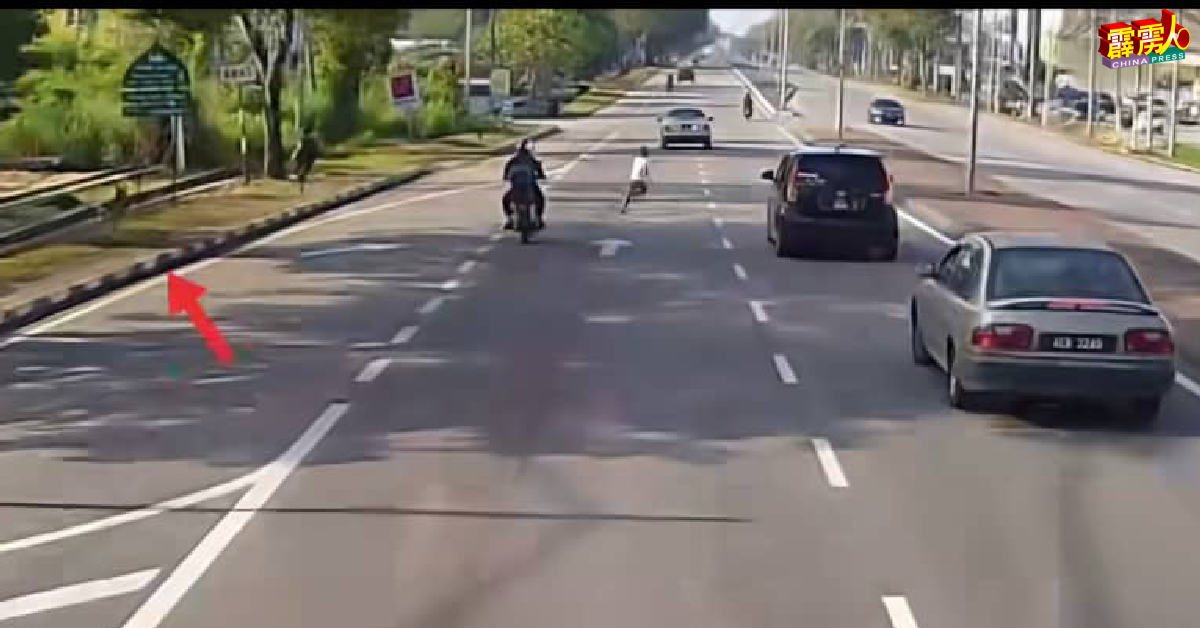 网友在后製的减速视频内，以红色箭头标明狗在追着2名男童。
