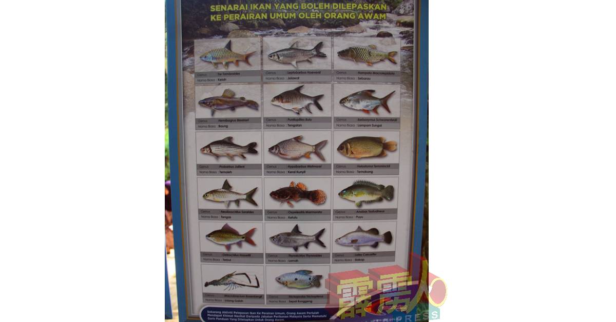 渔业局展示牌告诉大众，我国的原澹水鱼种类。