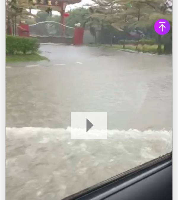 马路严重积水。（视频截图）