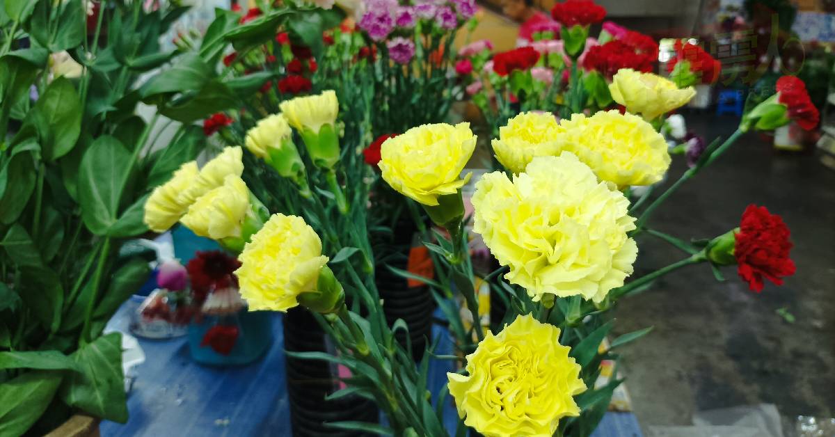 花束特别是以康乃馨为主的花束，也是向母亲表达爱意的母亲节应节佳品。