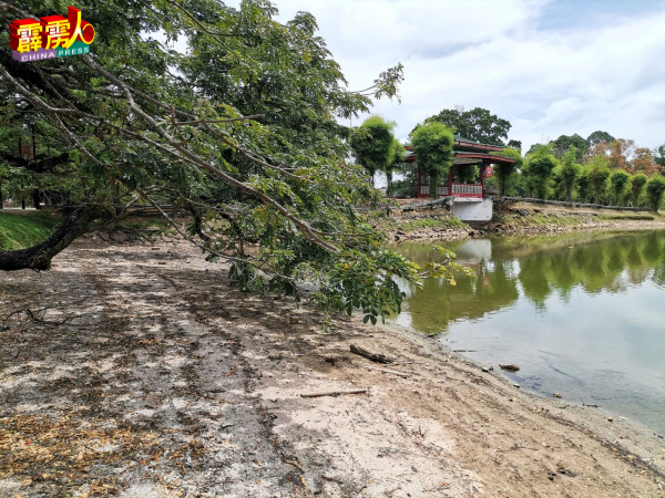 “翠臂”不再擒“波”(湖水),树枝碰触的尽是湖床沙地。