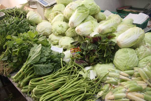 高及平原种植蔬菜，尤其是叶菜及豆类等价格比以往低，因此消费人可嚐廉价的蔬菜。