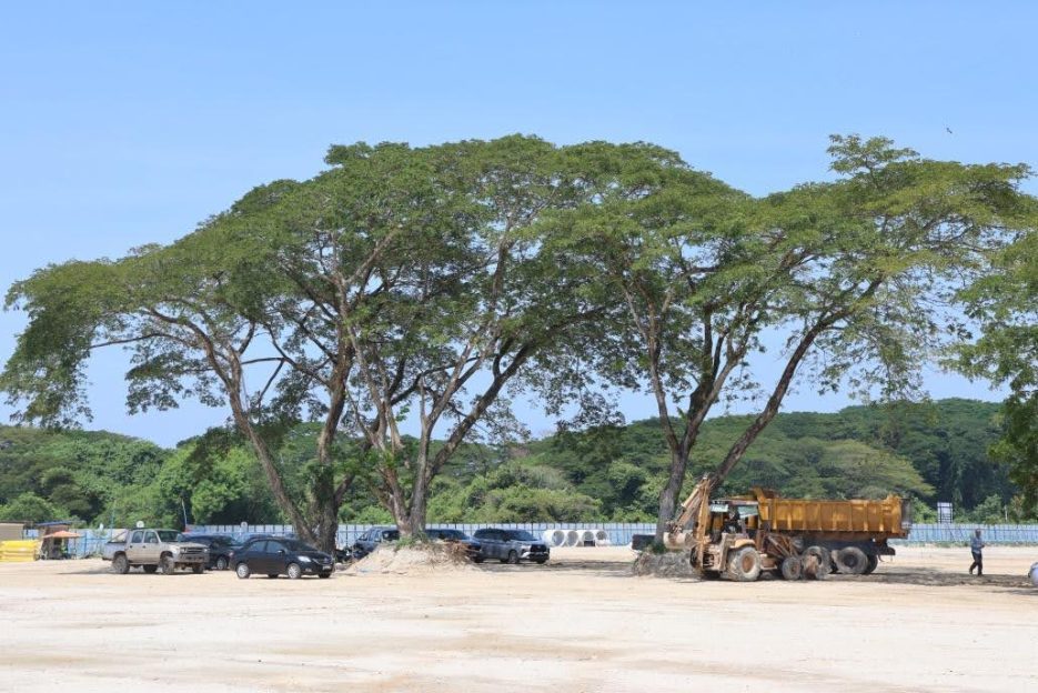 Taman Tasik Ardea工地可见有多棵历史悠久的大树，环境宜人。