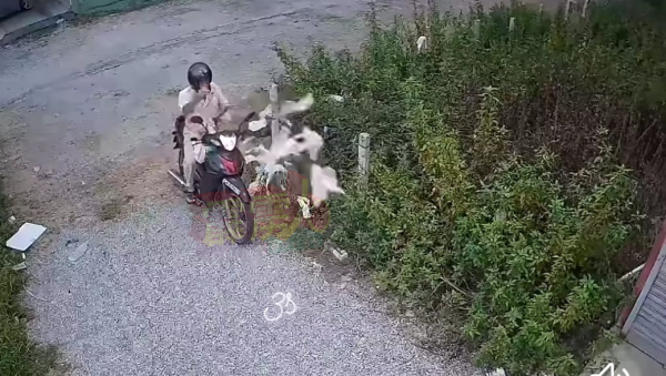 大叔在路边弃内衣裤，动机耐人寻味。