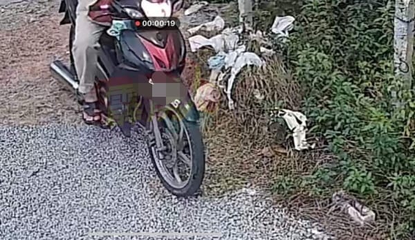 内衣裤被遗弃在现场，一些内衣裤还被挂在灯柱上，令附近住户深感无奈，并协助善后清理。
