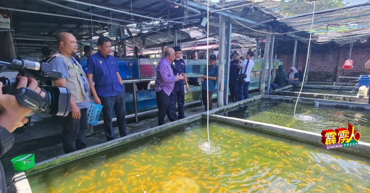 为确保水族店没有养殖禁鱼，执法人员在谨慎检查养殖场。