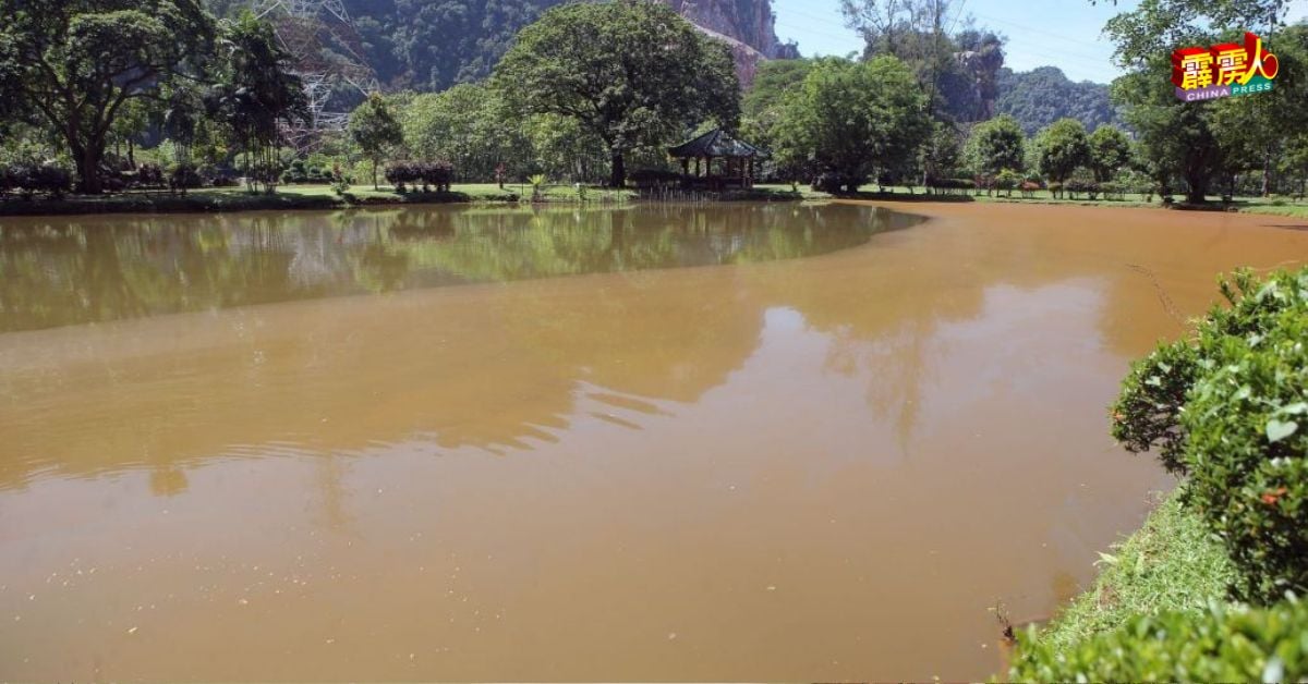 莲花池的水位高踞不下，黄澄澄的池水覆盖地下涵道的出水口。