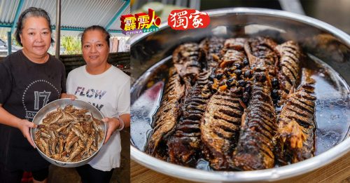 8月杪洛马鱼繁殖旺季  製豆豉鱼   一流