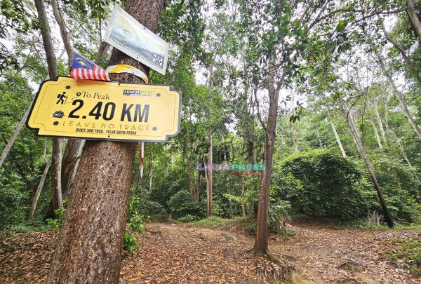 300山入口并不见有强制登山客必须付费申办登山准证的告示牌，仅有不同活动的指示牌。（摄于10月25日）