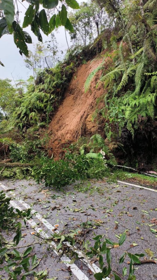 面对主要道路因土崩封路，替代路段又频频发生意外的情况，金马崙菜农、居民大叹受不了。（受访者提供）