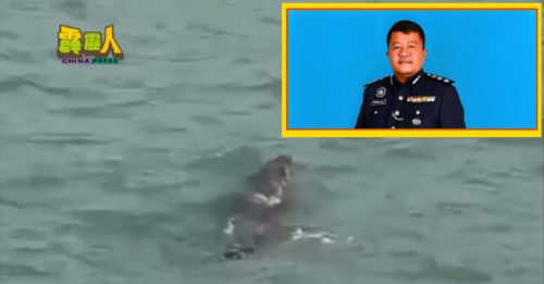 直落峇迪海滩有鳄鱼  3单位联手搜寻