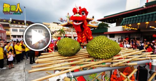 狮王今年不採青 跳桩表演採“榴槤”