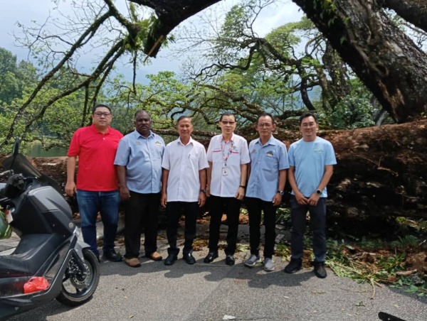 太平市议员团队联同市议会景观组主任苗罗斯里(左3)视察倒下雨树的情况,右3为关国富,右起市议员蔡崇豪与黄汶课,左起市议员黄凯毅和苏巴马廉。