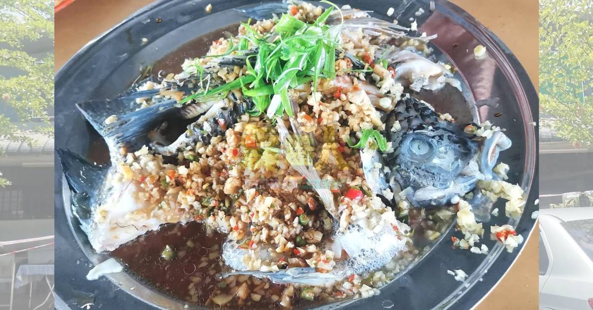 辣椒姜粒蒸黑金凤。