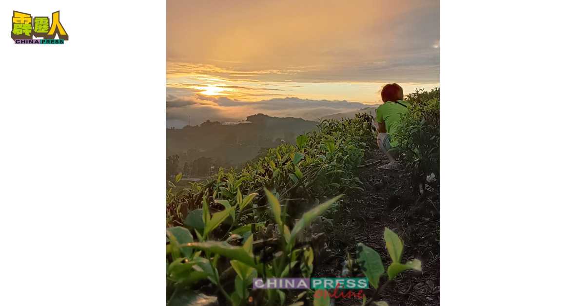 斋戒月时，金马仑的车流大幅减少，让游客沉浸在高原的壮丽景色与美食之中。（吴秉川）