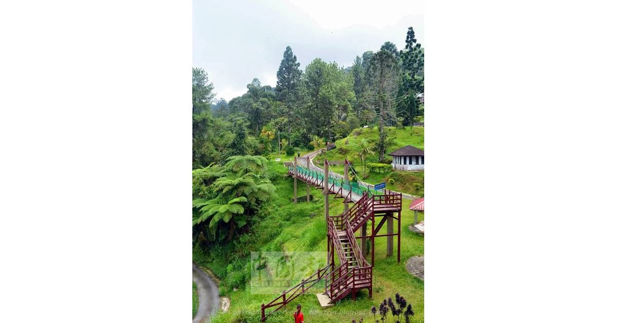 拉律山上风凉气爽,景色宜人,有一座观景桥供游客登高鸟瞰风景。