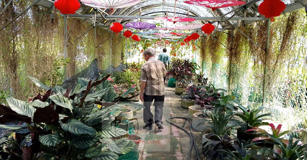 园内设有温室,用以栽种美丽花草。