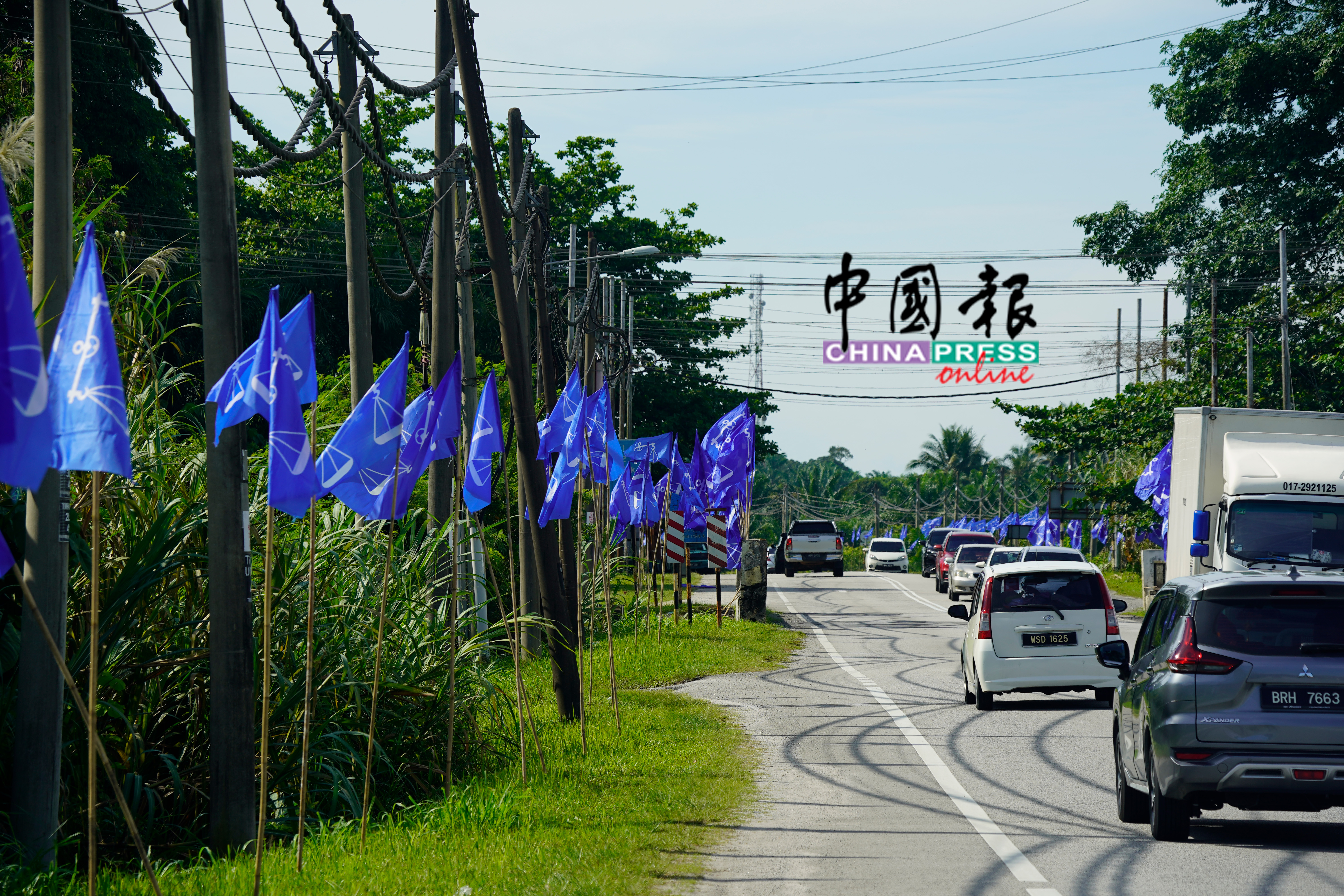 地摩一带,皆是国阵的旗帜。