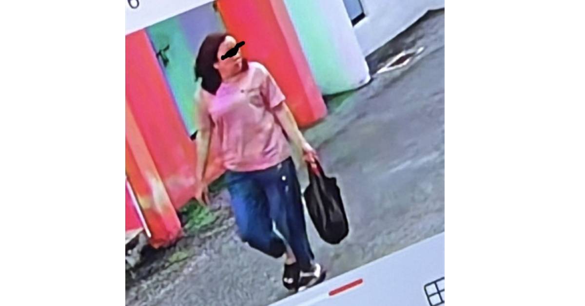 嫌疑人妇女1(李传恩网页图片)。
