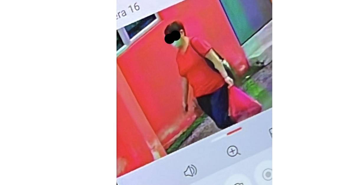 嫌疑人妇女2(李传恩网页图片)。
