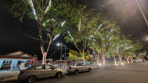 昌明公园树上装上彩灯美化,夜晚灿烂夺目,好不美丽。