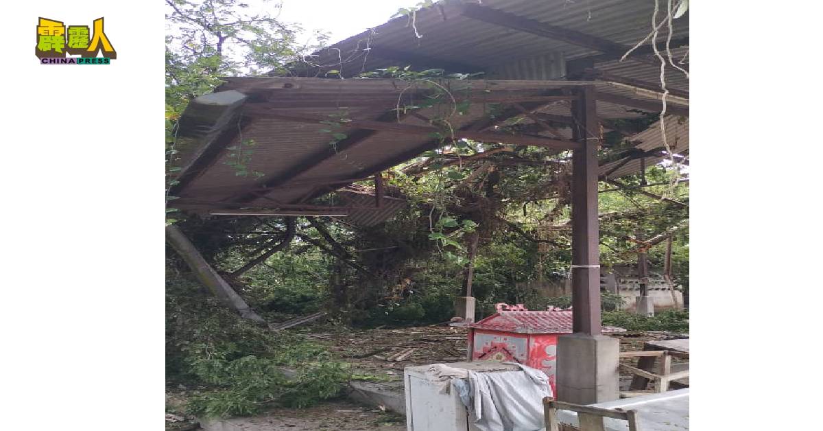 怡保旧街场旧巴刹的屋顶被倒下的大树压毁。