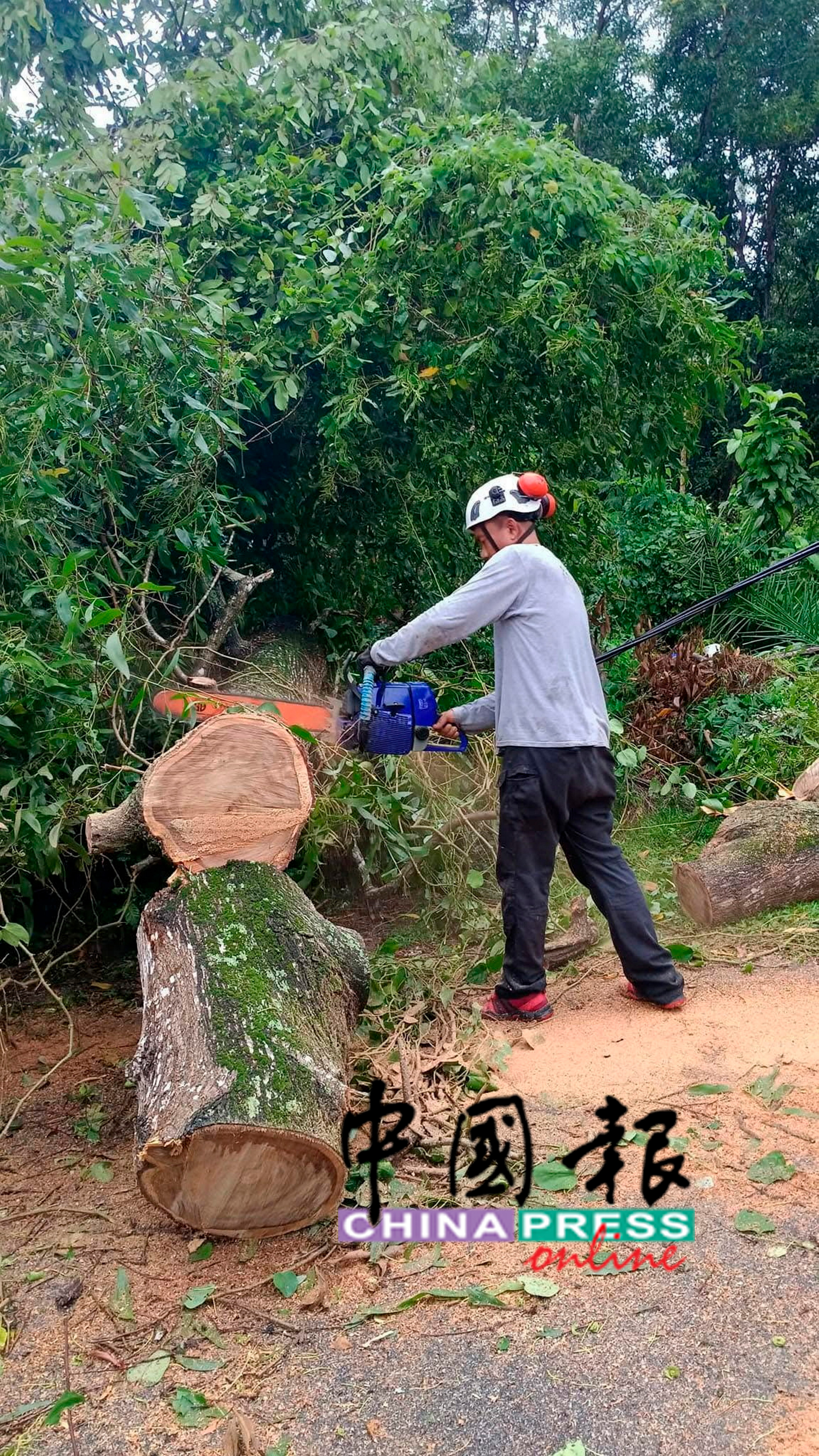莫哈末阿米尔拿起电锯把倒在东西大道的树木锯断,协助清理现场。