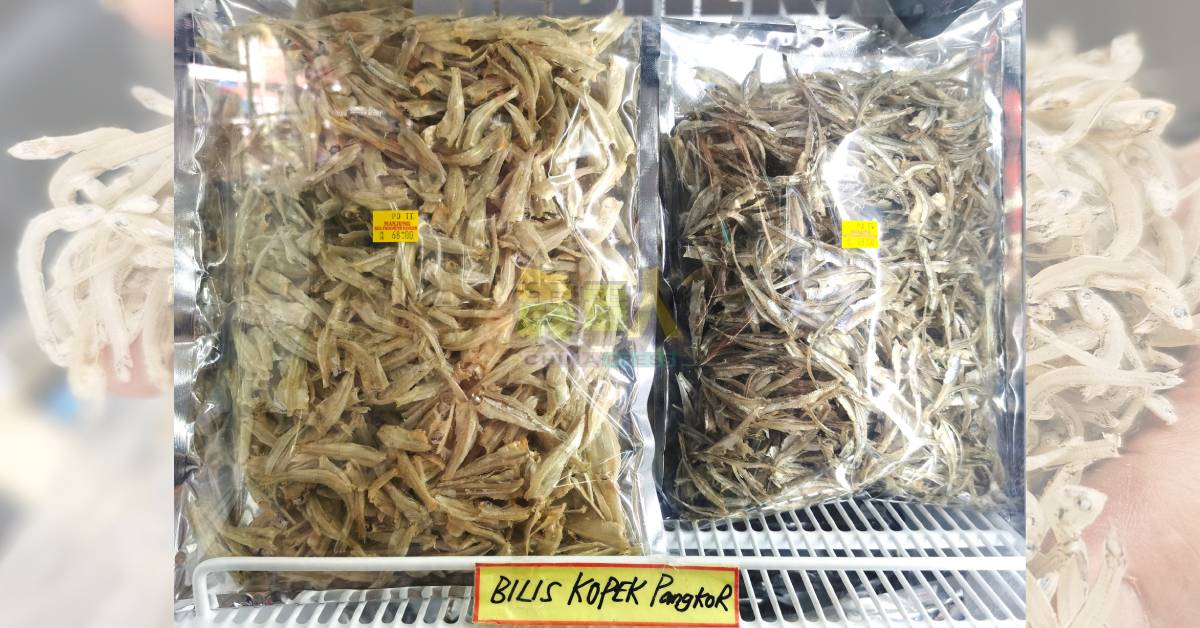 已处理的江鱼仔价格高,消费者偏向于买未处理的江鱼仔。