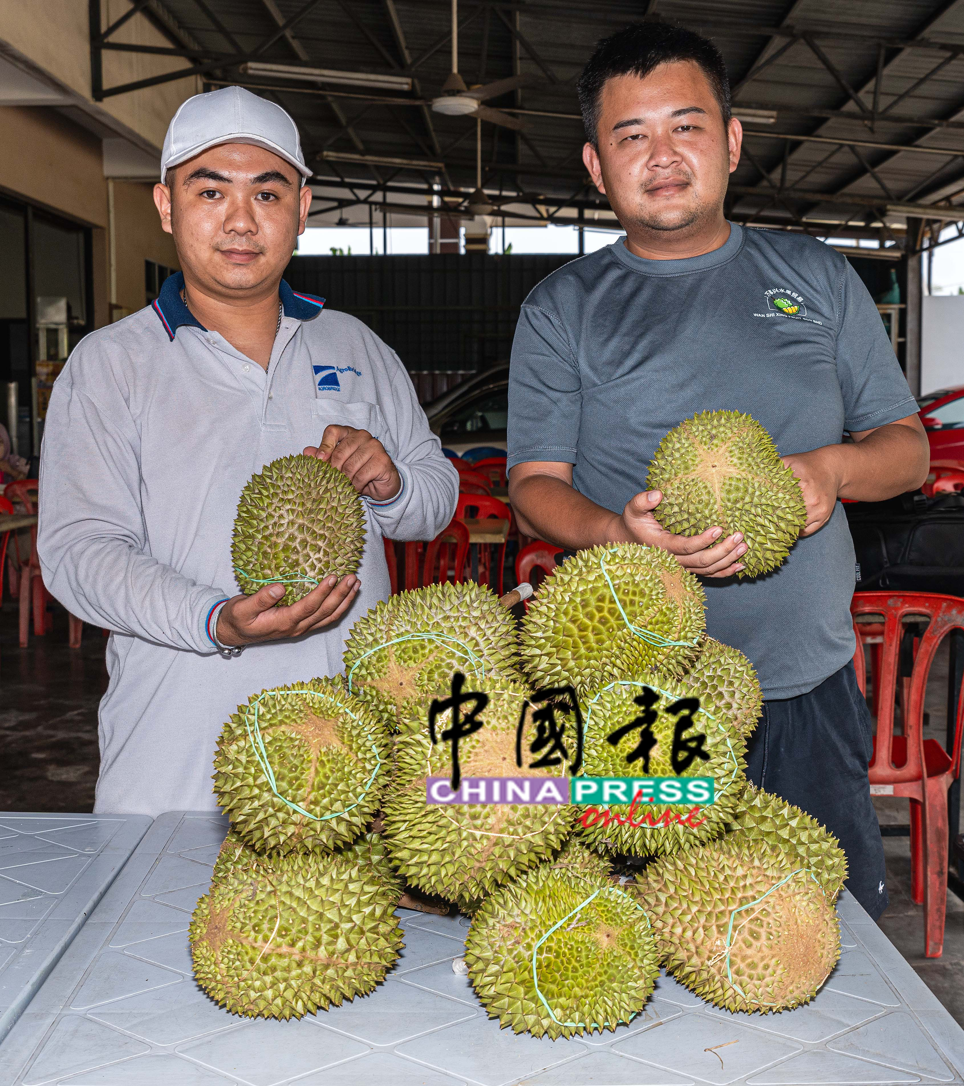 陈家和（左）与张楷证是榴槤园主，同是也是榴槤批发商。