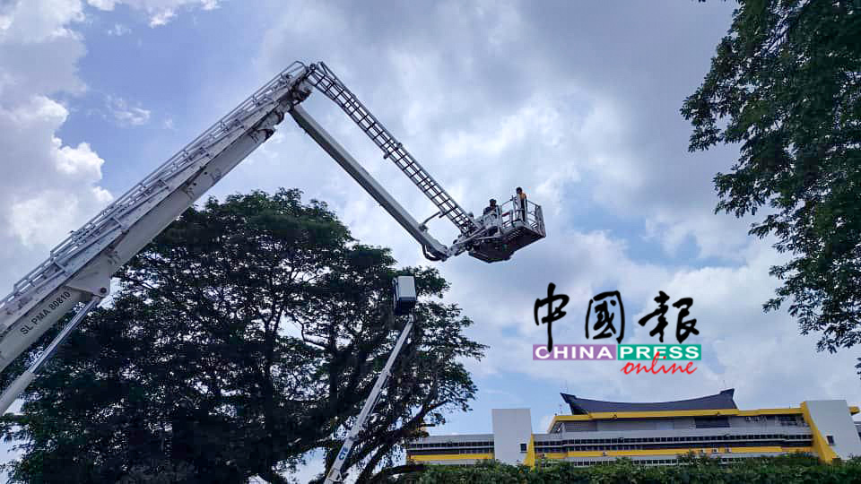 消拯局安排两名消拯员,乘消防车云梯准备营救受困者 。