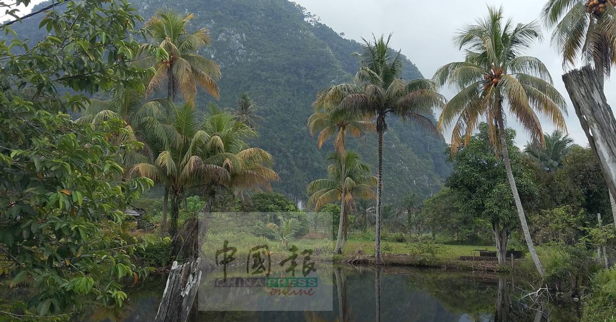 村屋旁的鱼塘平静如镜,宛如一幅自然风景。