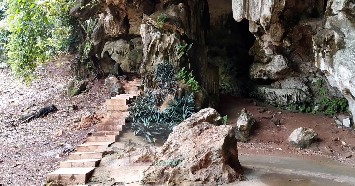 沿着庙宇板道往上爬,又是一道美丽的自然风景