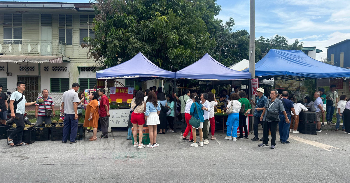 国人对榴梿无论是名种或甘榜品种皆趋之若鹜,每当榴梿一上市,各地摊位随即涌现购买人潮。