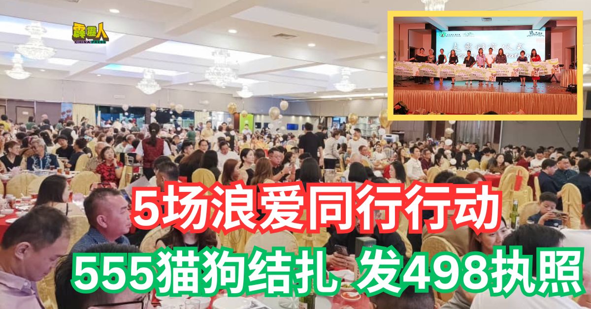 5场浪爱同行行动  555猫狗结扎  发498执照  