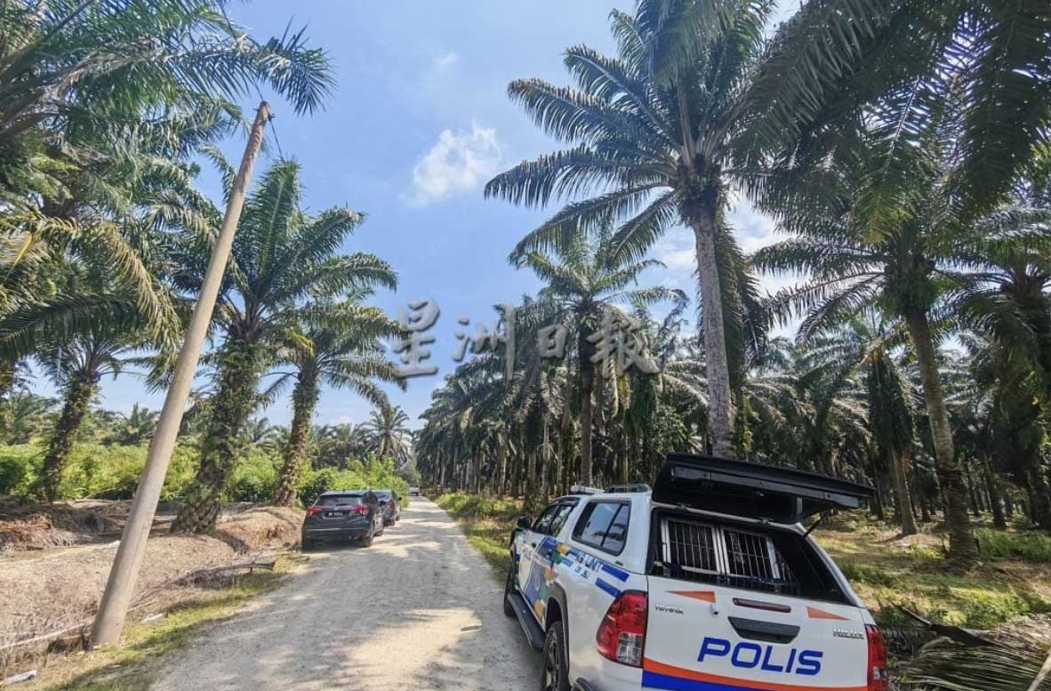 警方在接获投报后，传召燕屋主人及押送嫌犯重返现场进行深入调查。（取自《星洲日报》）