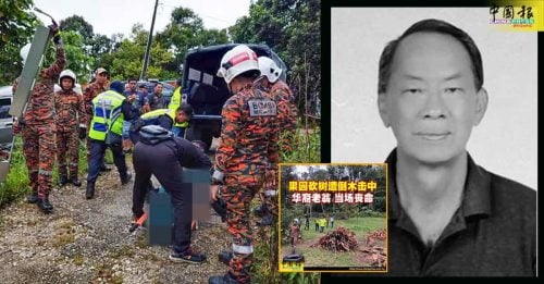 独家｜果园砍树遭击身亡 死者为前村长伍瑞华