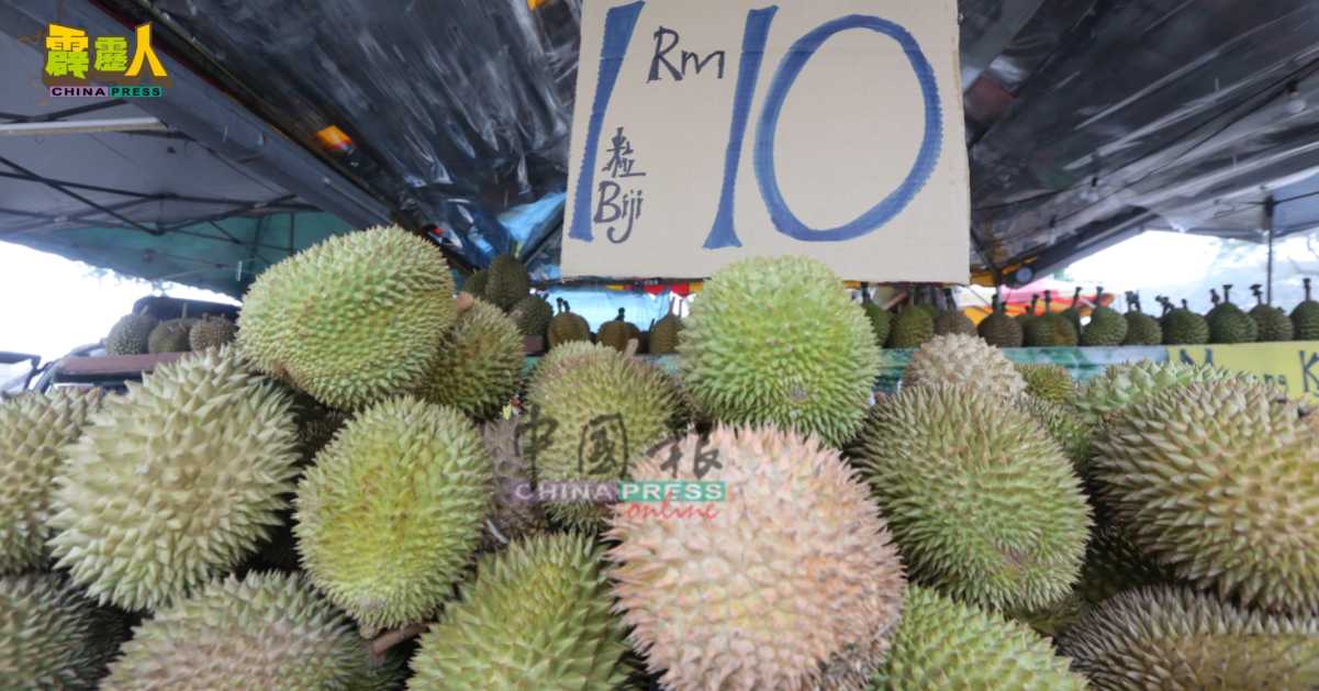 榴槤大举抛售,原本按公斤计价的甘榜榴槤,如今改以“粒”计,一粒约2公斤的仅售10令吉。